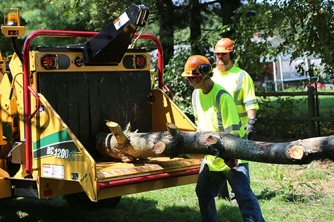 bc1200xl-gas-brush-chipper-in-action