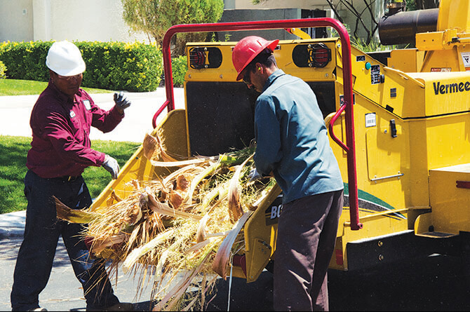 bc1500-brush-chipper-chipping-palm