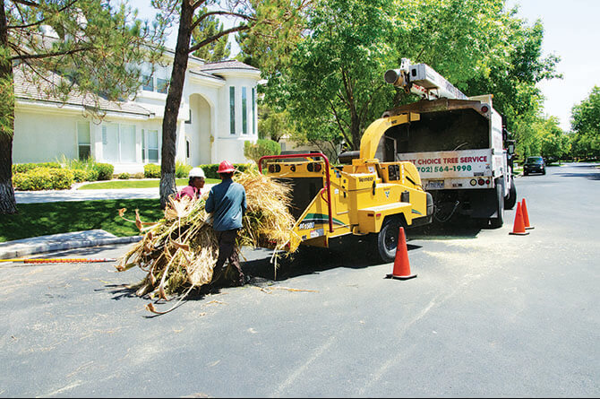 chipping-palm-bc1500-wood-chipper