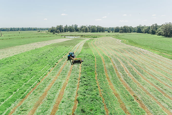 mc105-mower-conditioner-rows